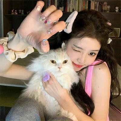 猪圈
